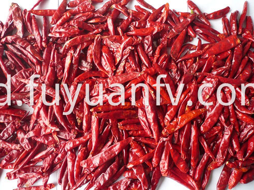 Hot Spicy Chaotian Chili